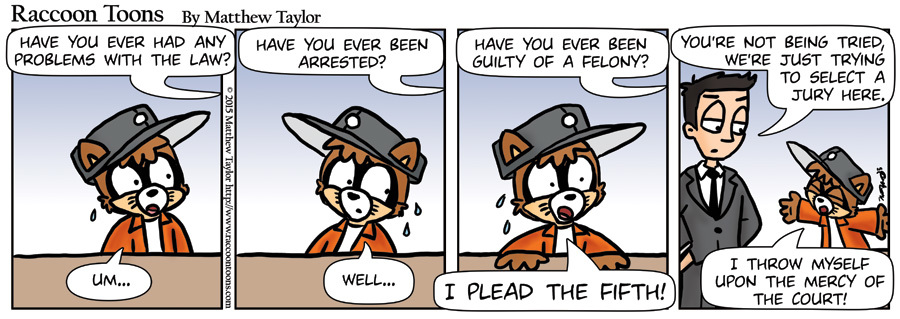 Raccoon Toons I Plead The 5th